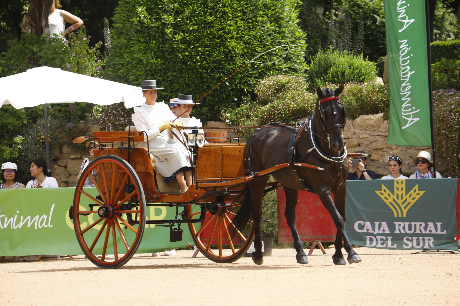 La Exhibición de Carruajes de Tradición de la Feria de Córdoba, en imágenes