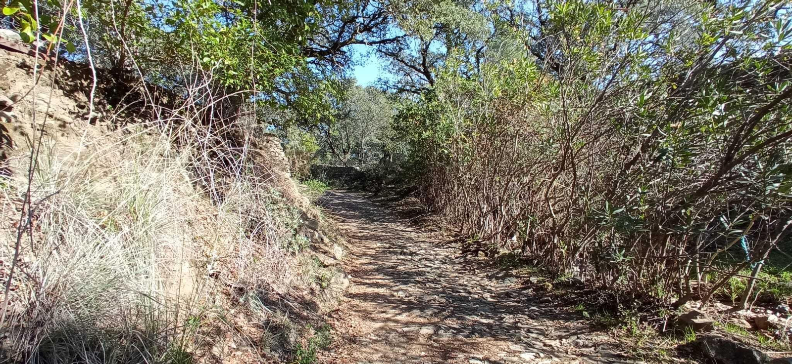 Fotos de la Ruta circular Aracena-Linares de la Sierra-Aracena