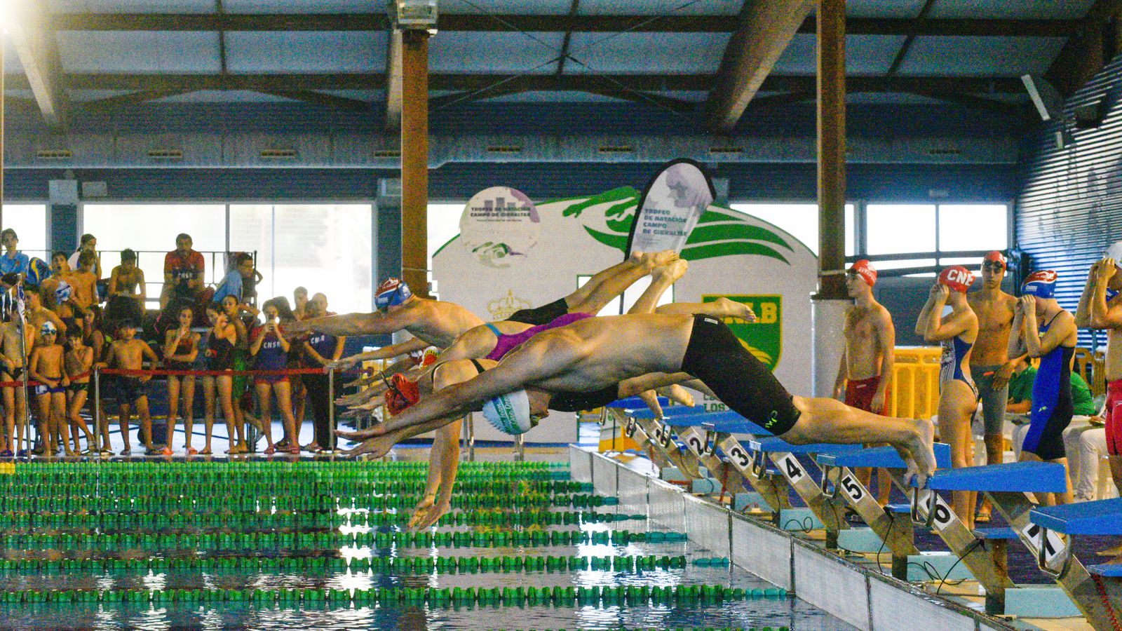 Fotos del Torneo de natación Campo de Gibraltar, en Los Barrios