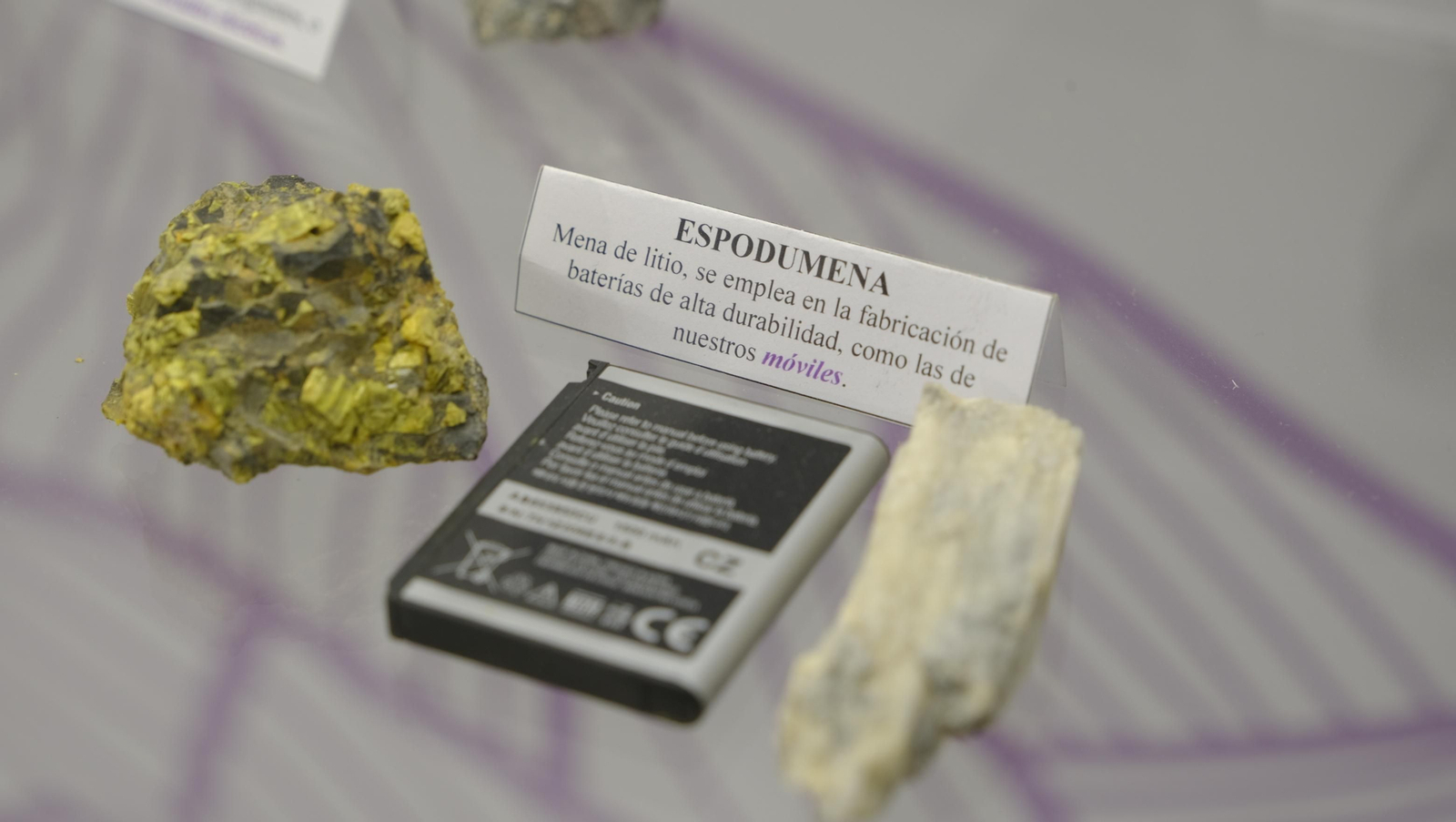 Descubre en estas fotos las maravillas que esconde el Pabellón de Historia Natural de la UAL