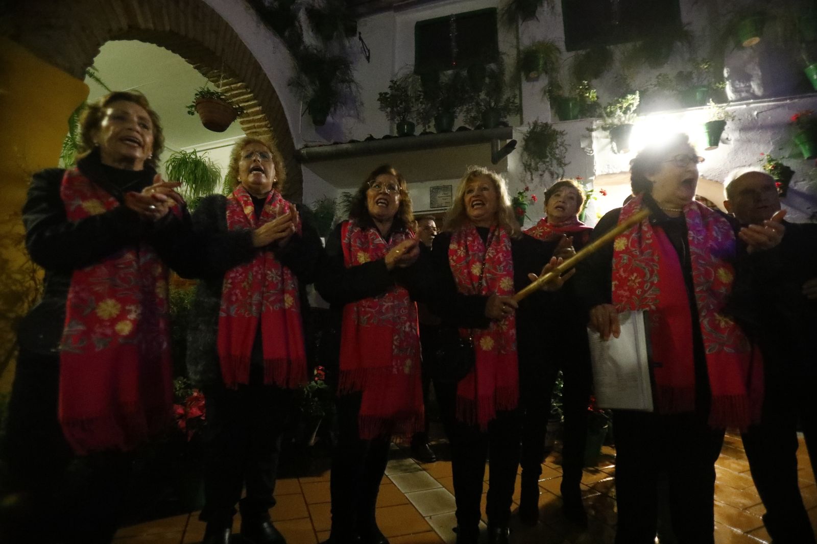 Los Patios de Córdoba abren por Navidad, en imágenes