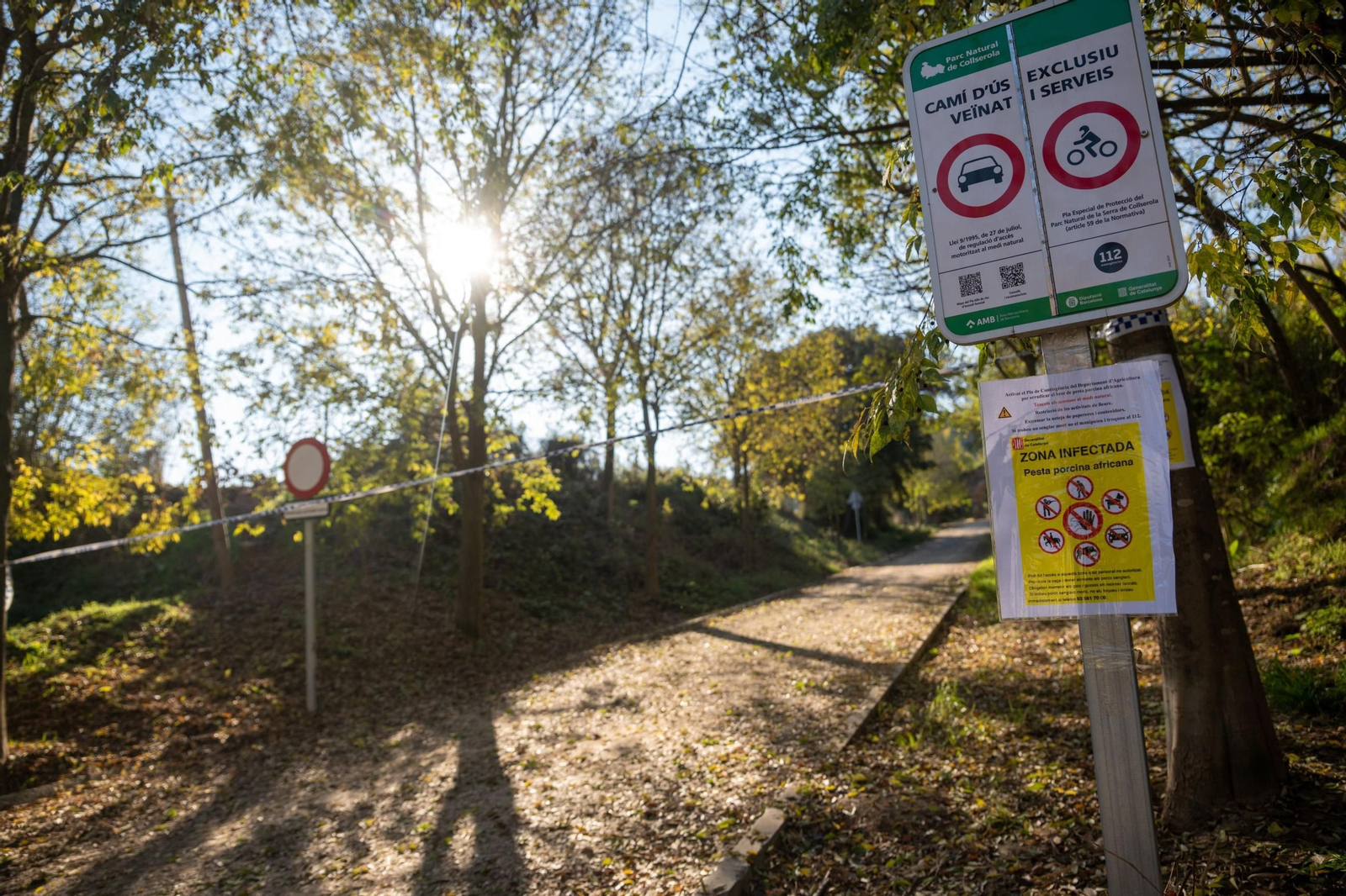 Cartel en el parque Collserola de Barcelona en el que se impide el acceso por la peste porcina