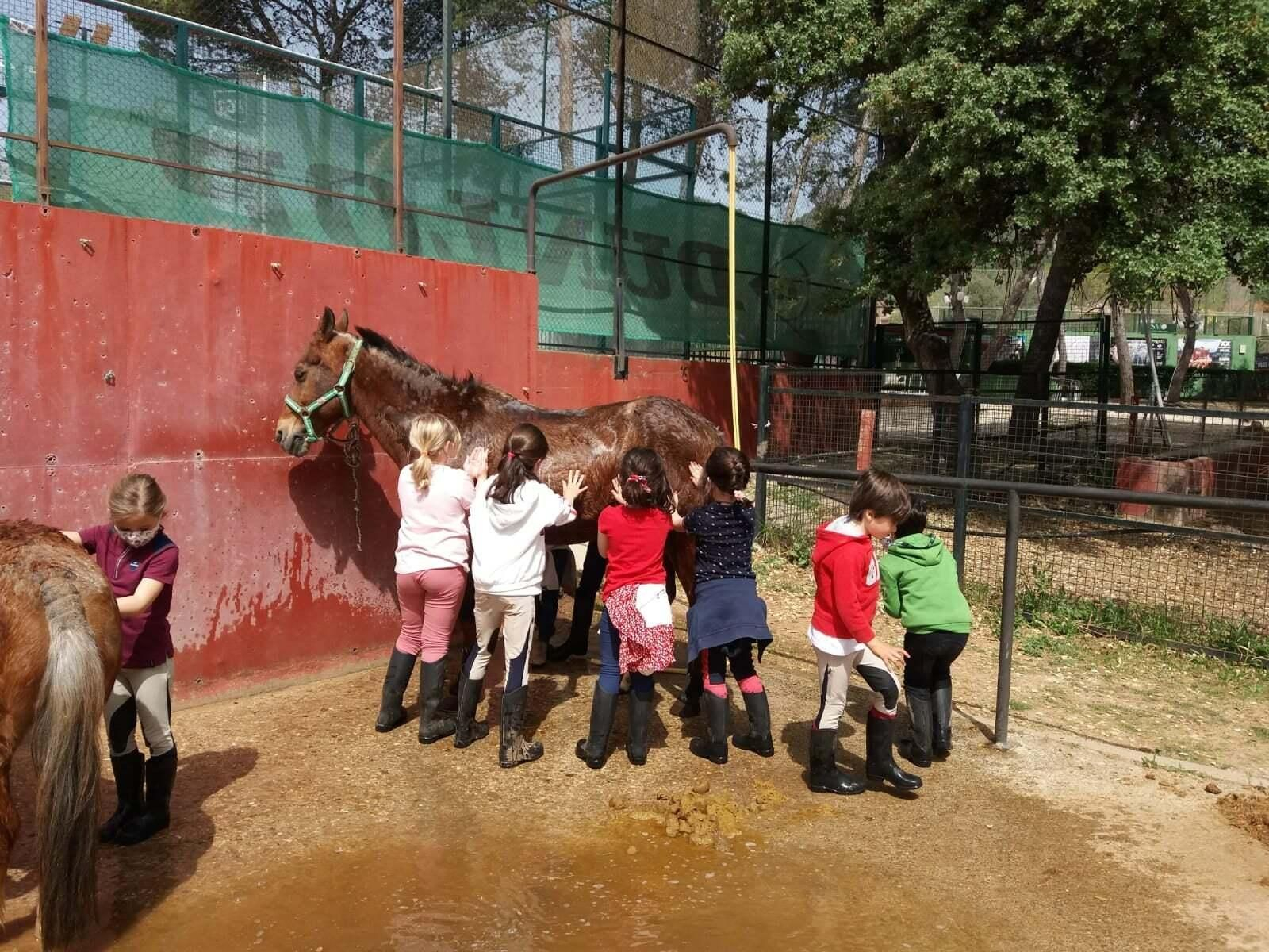 Campamentos y escuelas de verano para los más pequeños