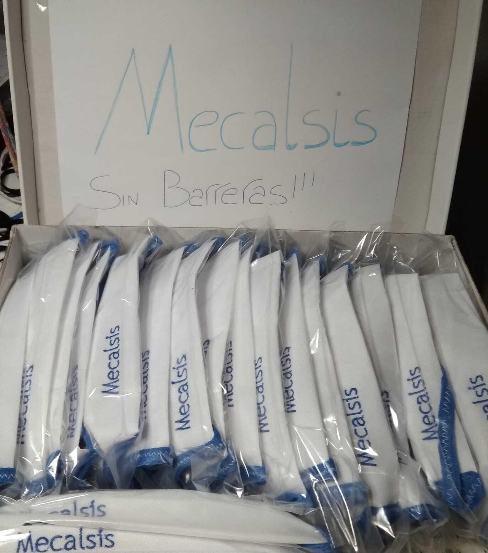 Un lote de mascarillas Mecalsis.