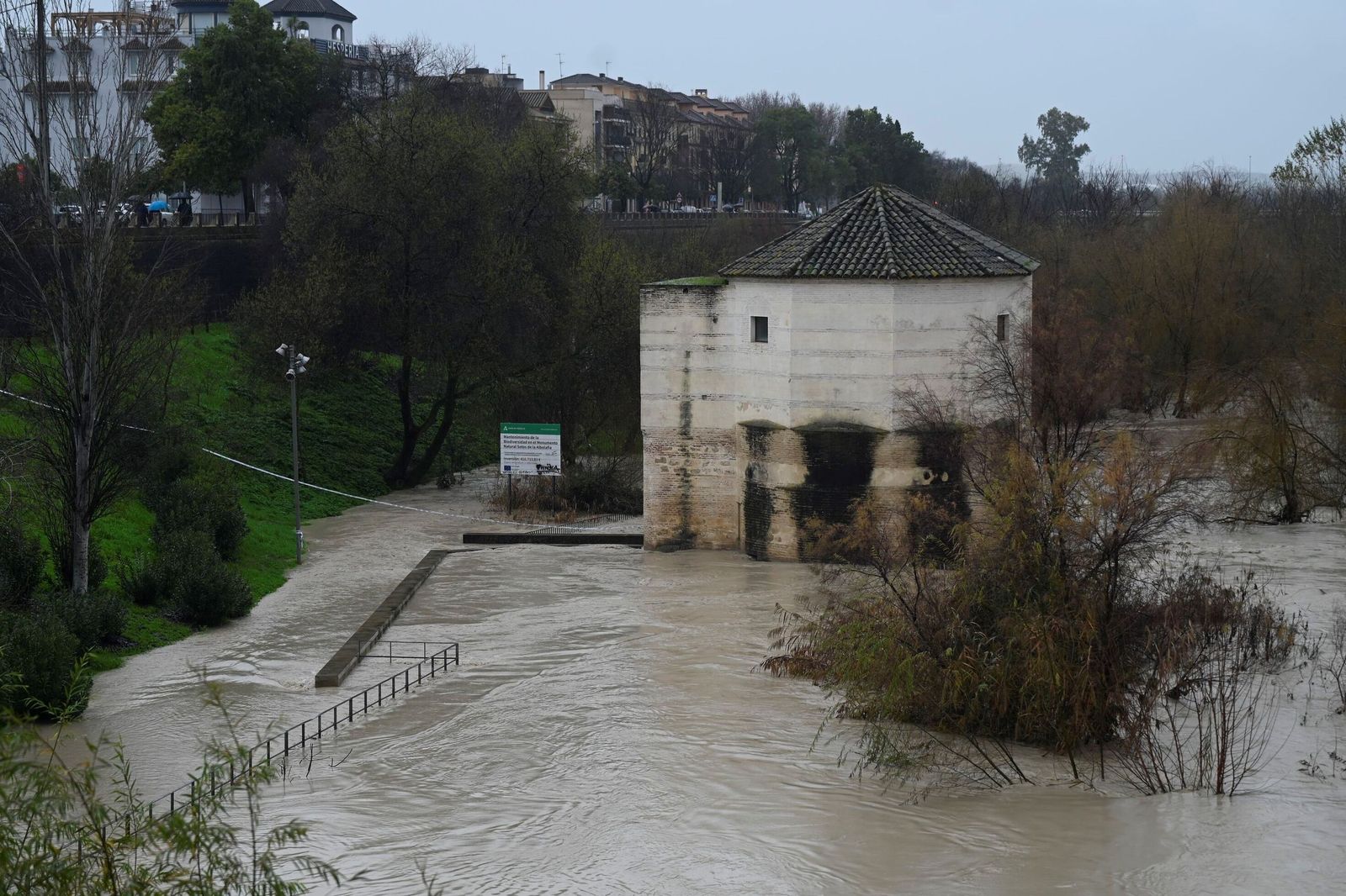 Las impactantes imágenes de la crecida del río Guadalquivir a su paso por Córdoba