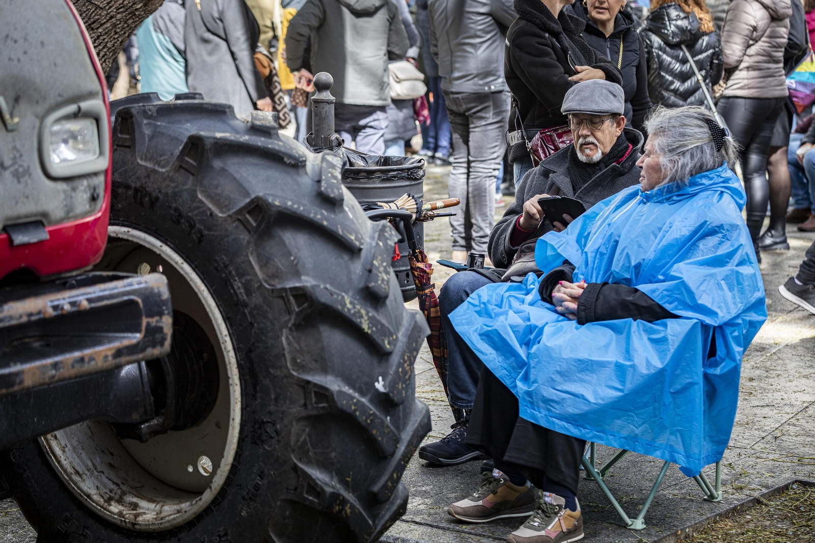 Las imágenes del segundo sábado de Carnaval de Cádiz 2025: Carrusel de coros bajo la lluvia