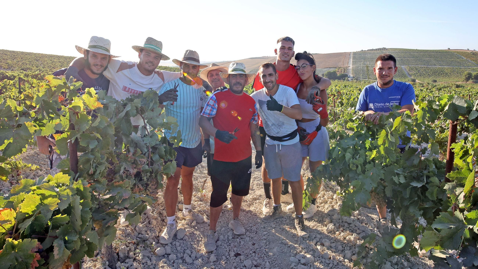 Vendimia a mano en la Viña El Caribe en Jerez