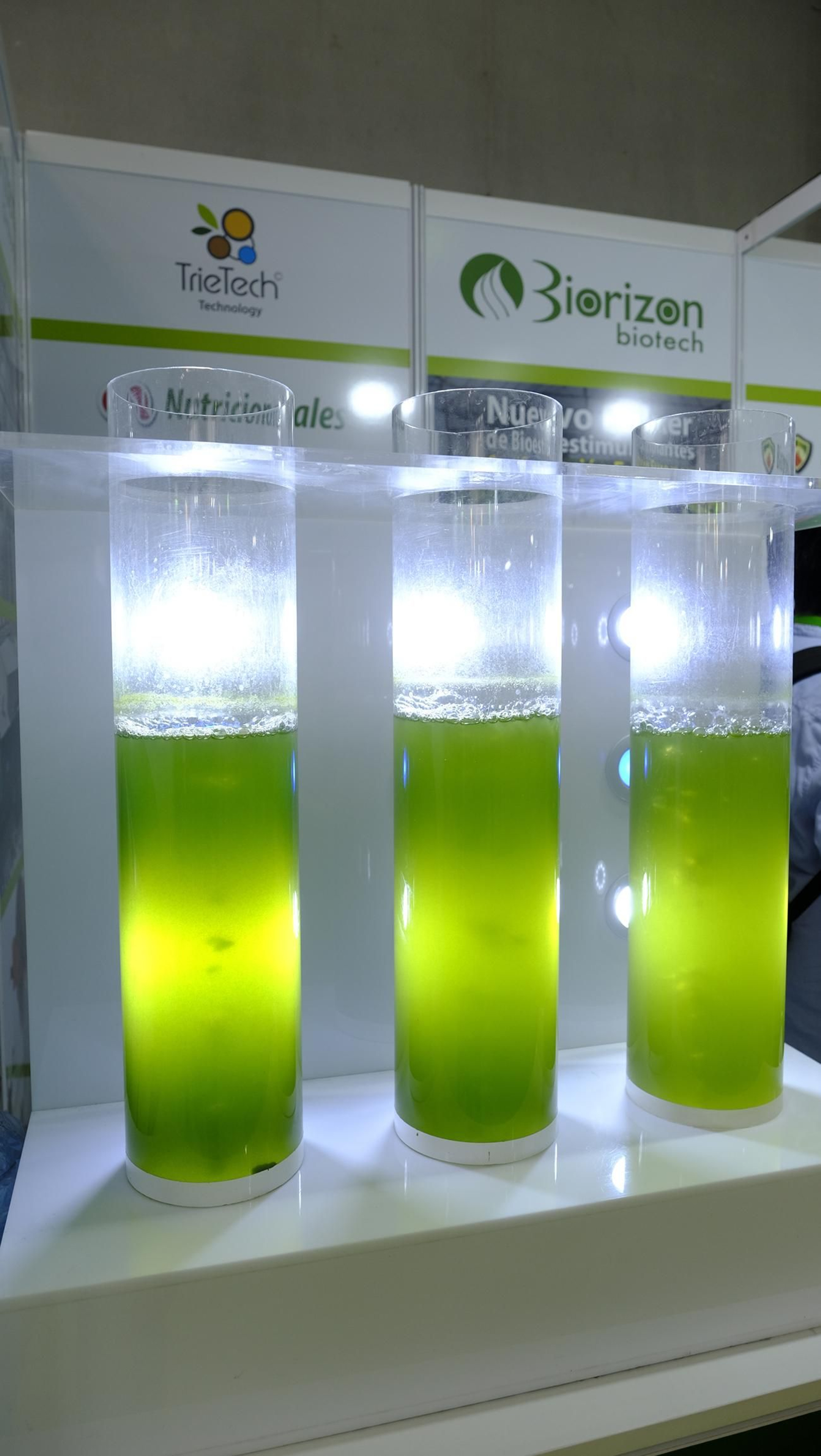 Imágenes del segundo día de Expolevante Níjar 2024