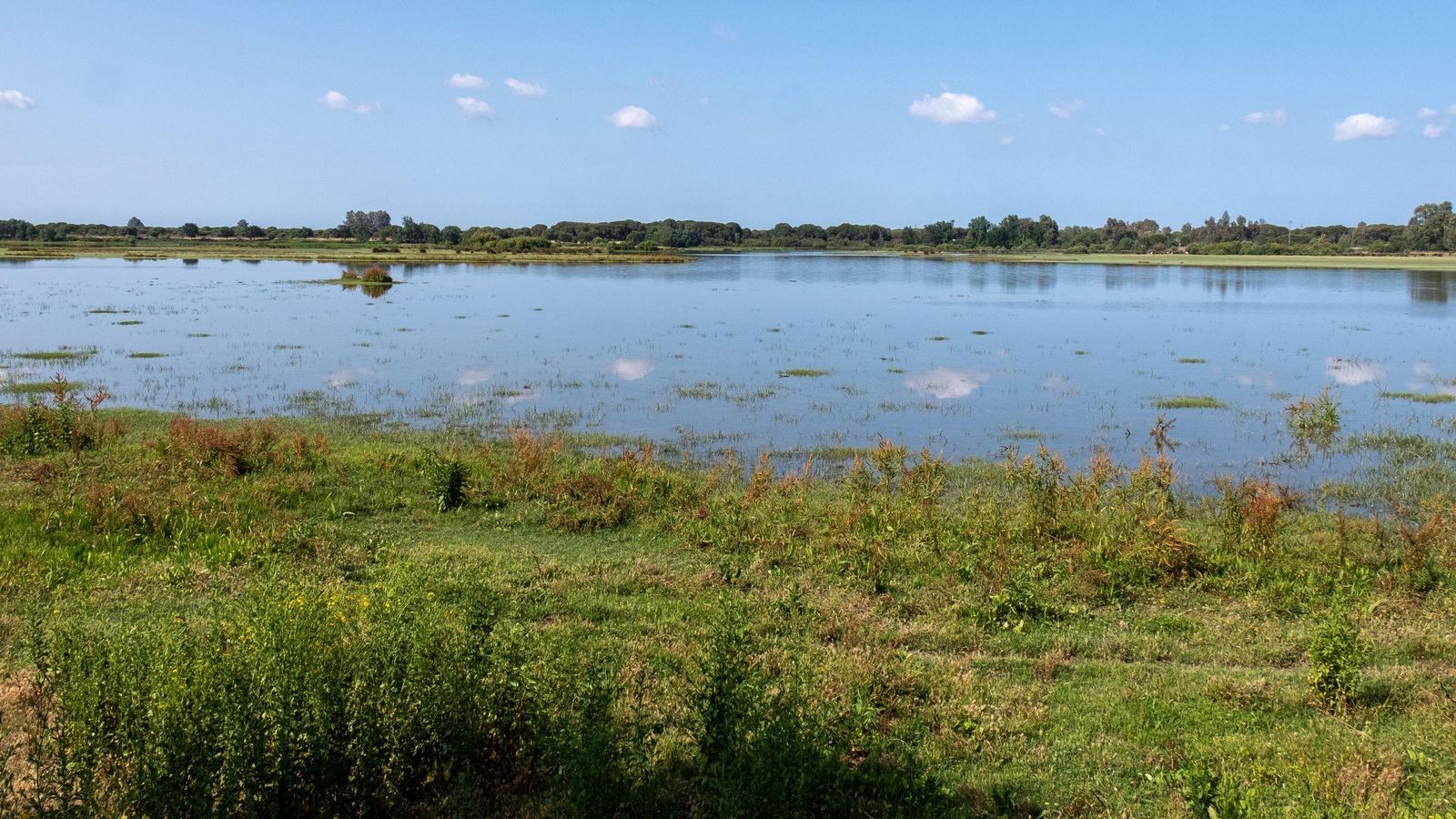 Marisma en el entorno de Doñana.