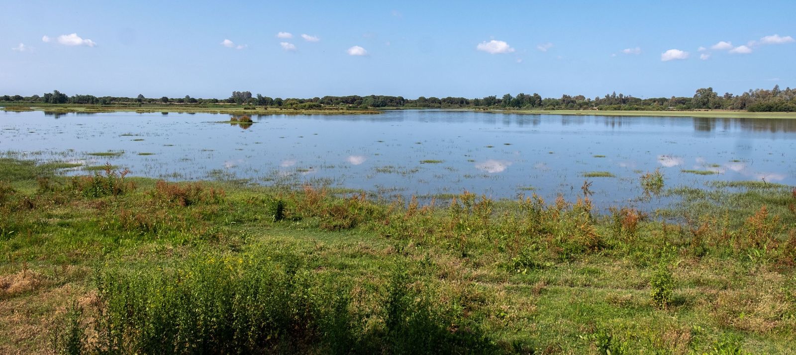 Marisma en el entorno de Doñana.