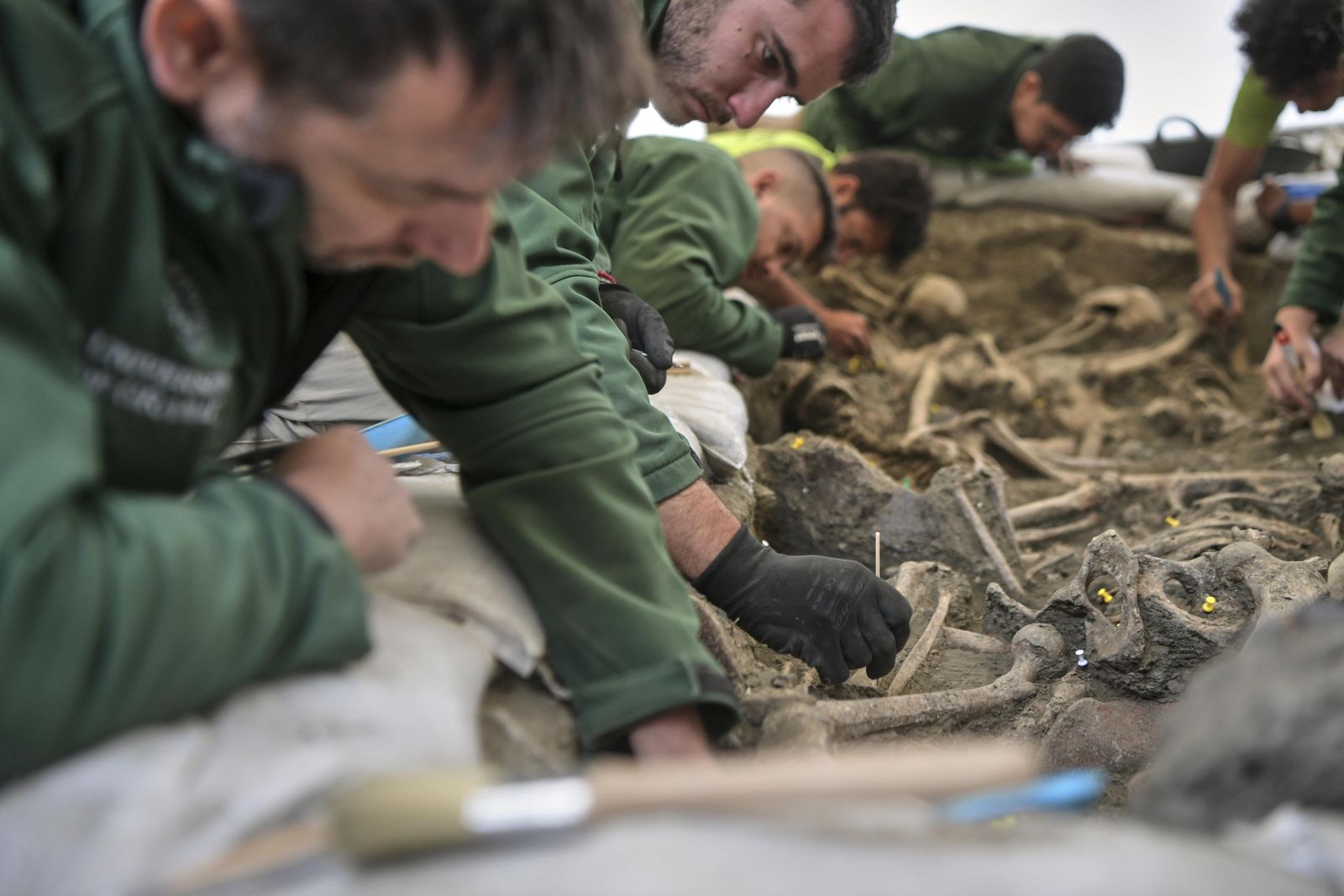 La tercera campaña de exhumaciones en el Barranco de Víznar, en imágenes