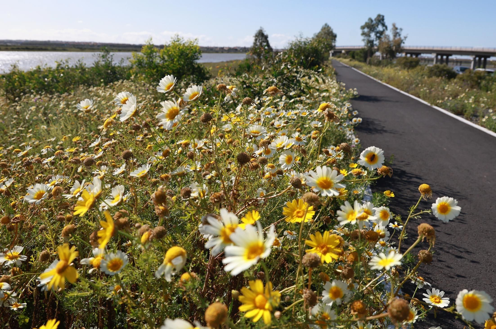 Imágenes del sábado 13 de abril en Huelva
