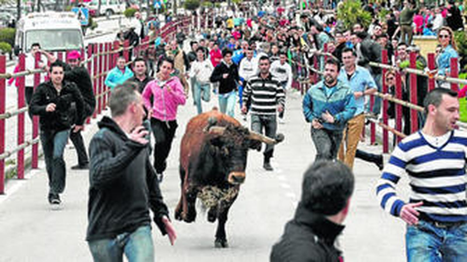 Corredores y el toro de la tarde, 'Compañero', a su paso por la avenida Carlos Cano de camino hacia la plaza de toros La Montera.