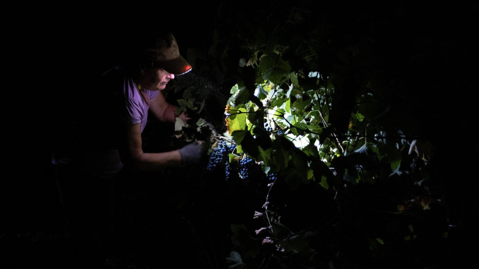 La única iluminación es un foco frontal.