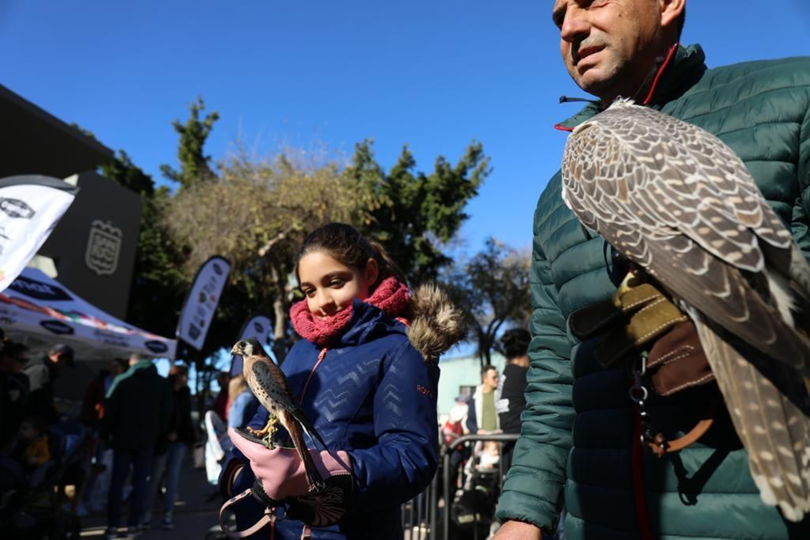 Así ha sido la celebración de San Antón en San Fernando