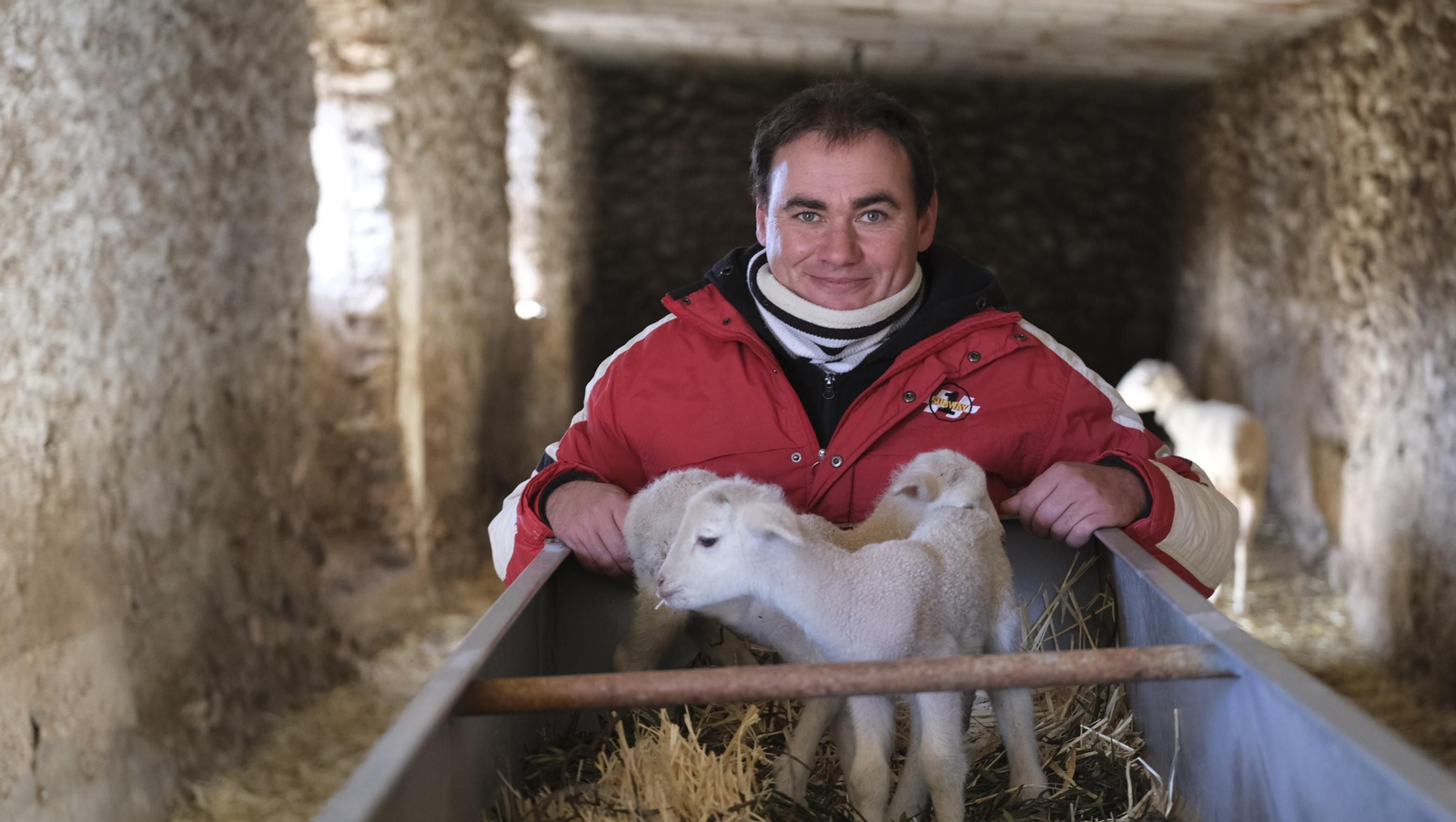 Fotogalería de la ganadería tradicional de Vélez Rubio, las imágenes más tiernas de los corderos recién nacidos