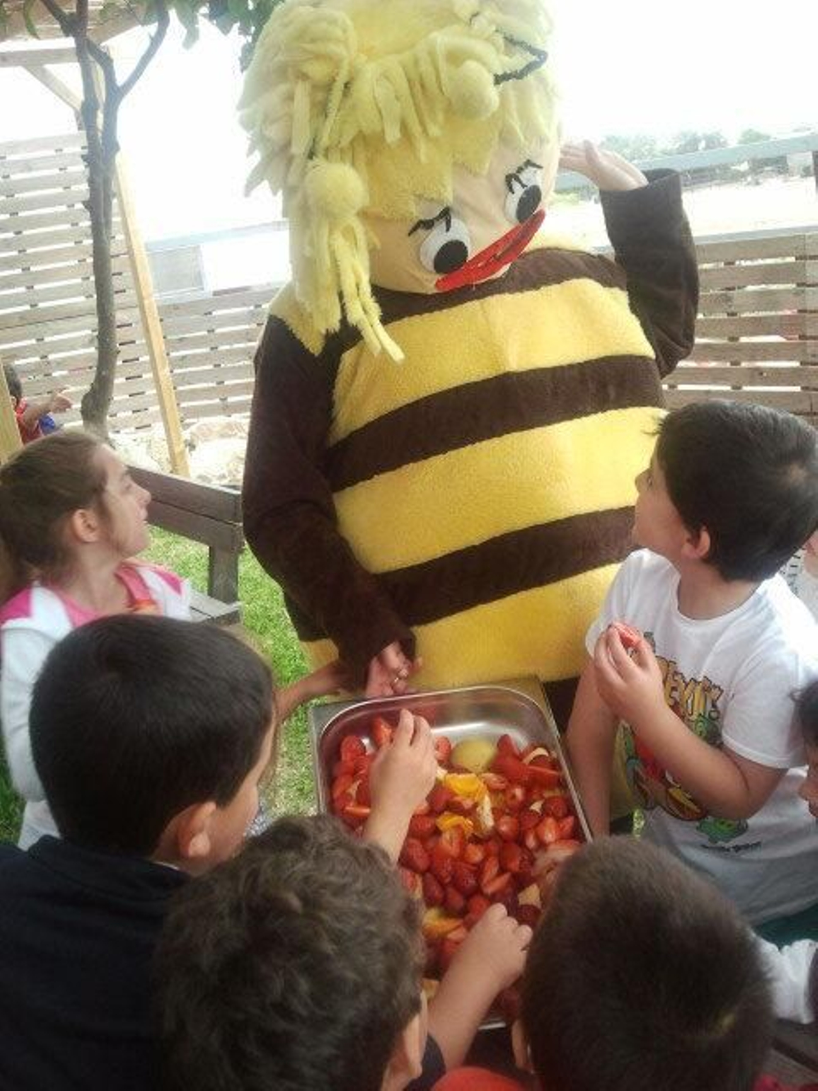 Pequeños durante una visita. Pequeños durante una visita.