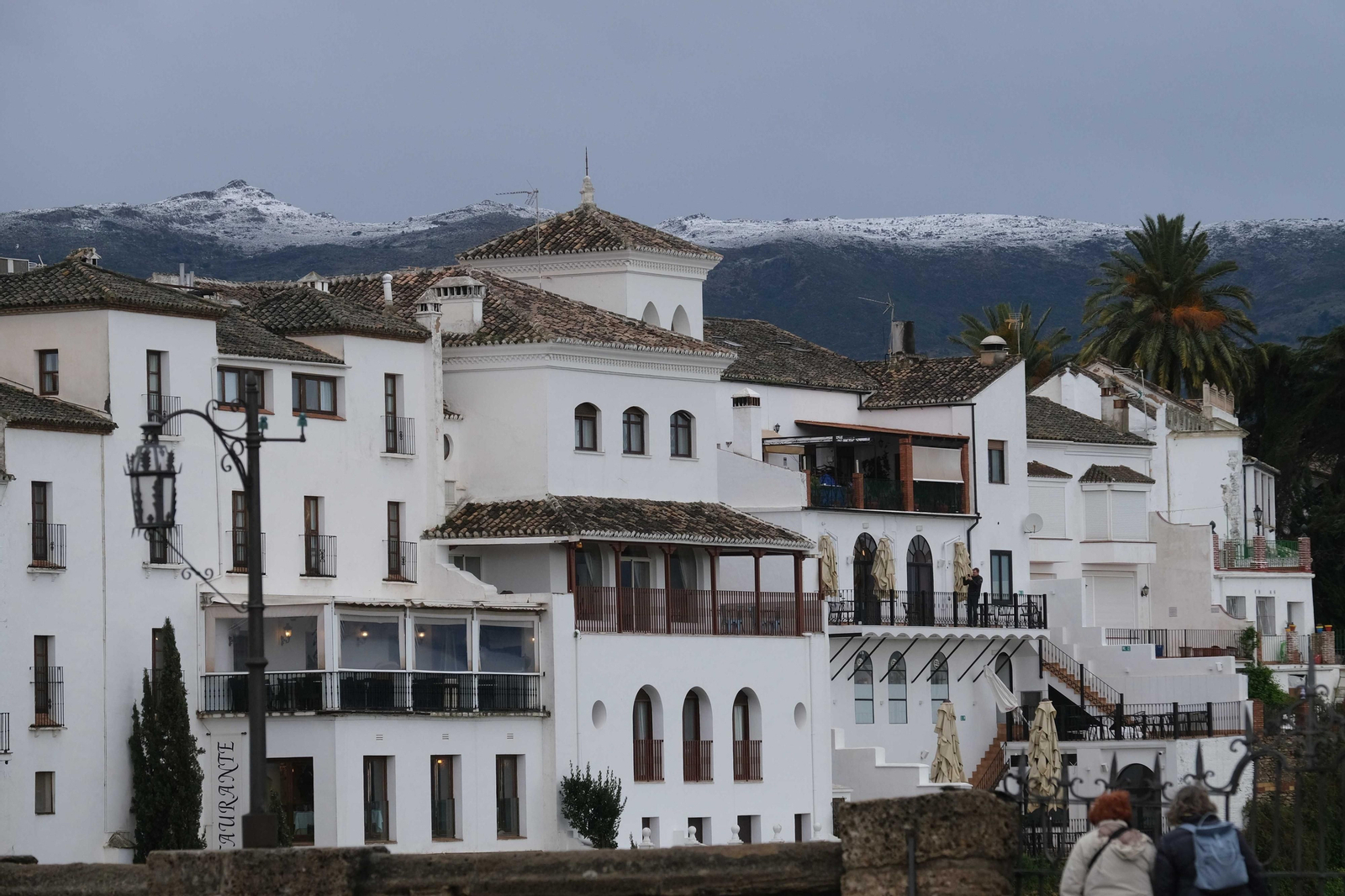 La nueva nevada  en el Parque Nacional Sierra de las Nieves, en fotos