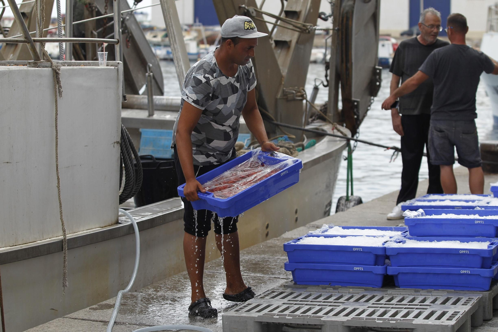 Pescadores de la lonja de Almería descargando sus capturas de arrastre . Pescadores de la lonja de Almería descargando sus capturas de arrastre .
