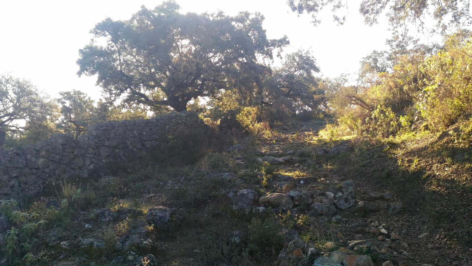 Ascenso al Cerro de las Ánimas