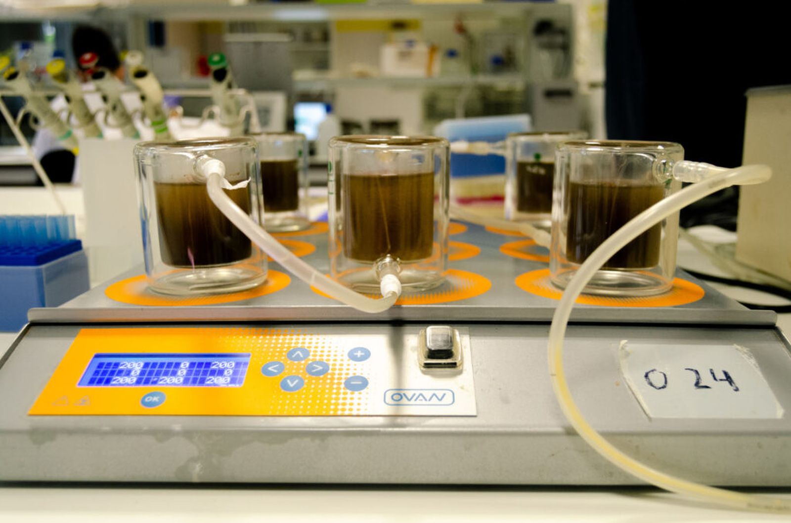 Ensayos de digestión in vitro para simular el proceso y comprobar si el extracto encapsulado seguía funcionando.