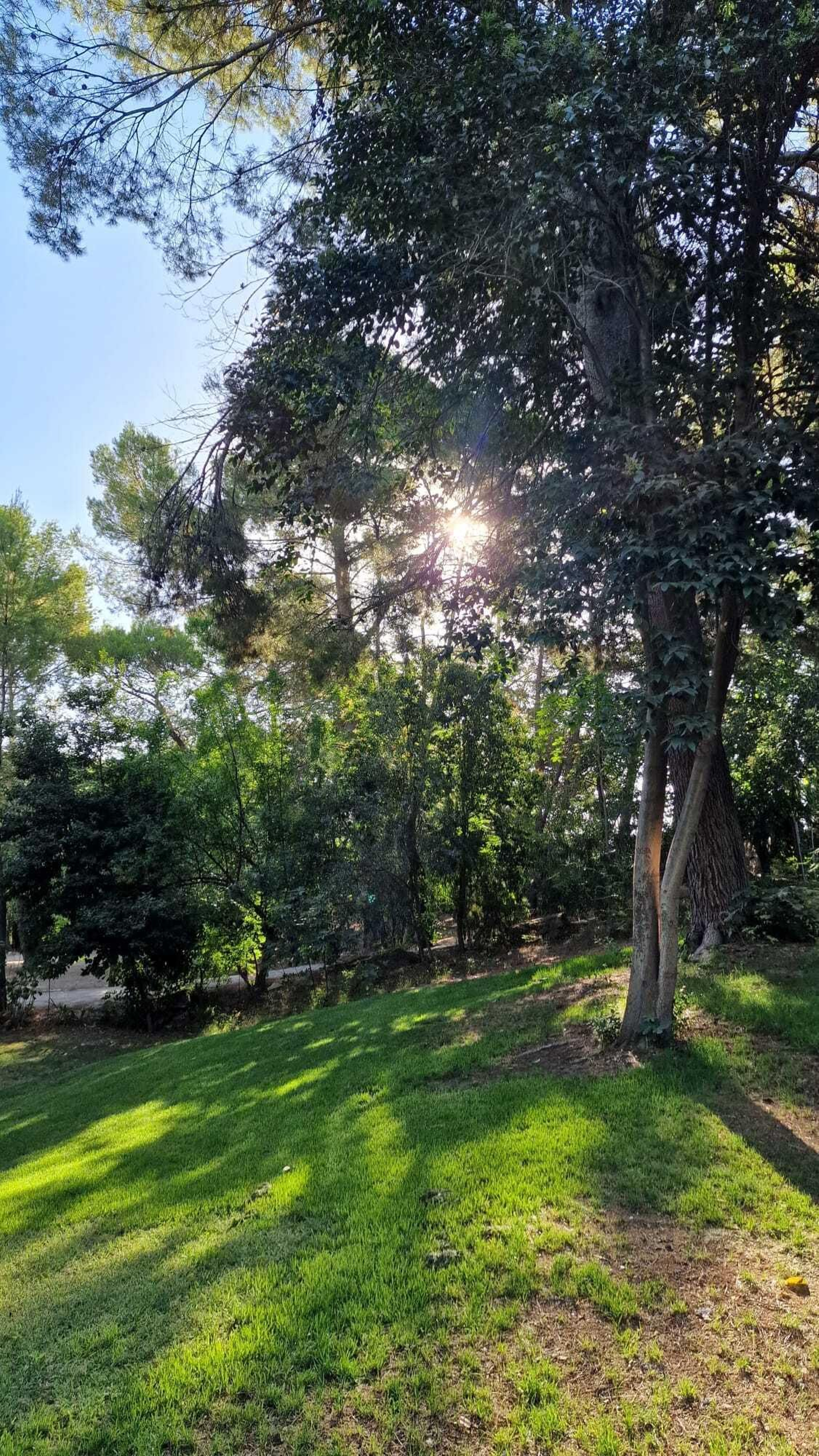 Grandes zonas verdes que sirven para el esparcimiento y la meditación.