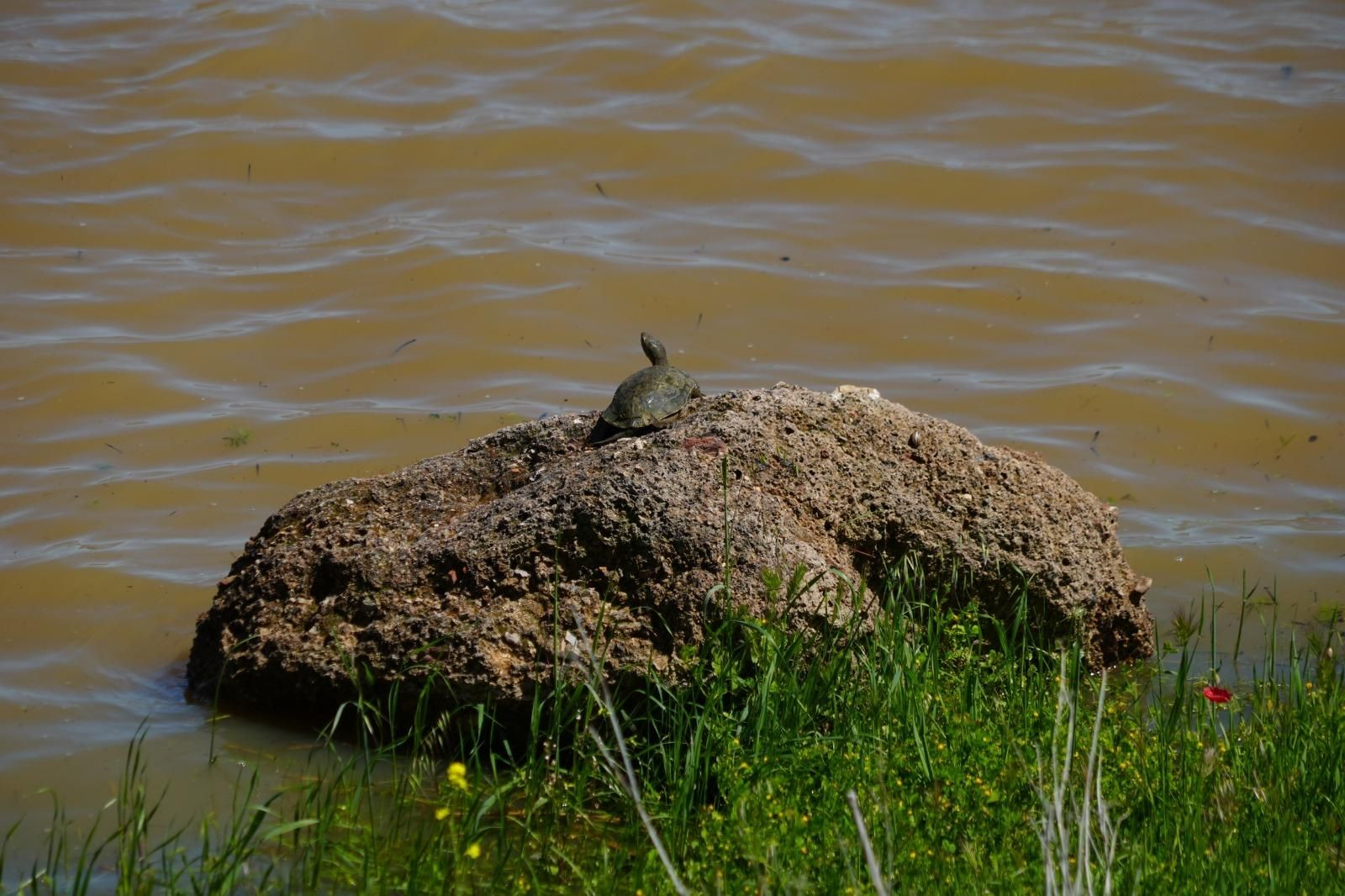 Así luce el embalse de Sierra Boyera tras las lluvias, en imágenes