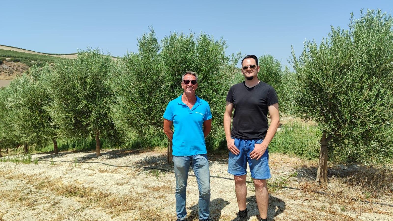 Domingo Pérez, voluntario de CaixaBank, junto a Daniel Téllez en el olivar de Torrecera