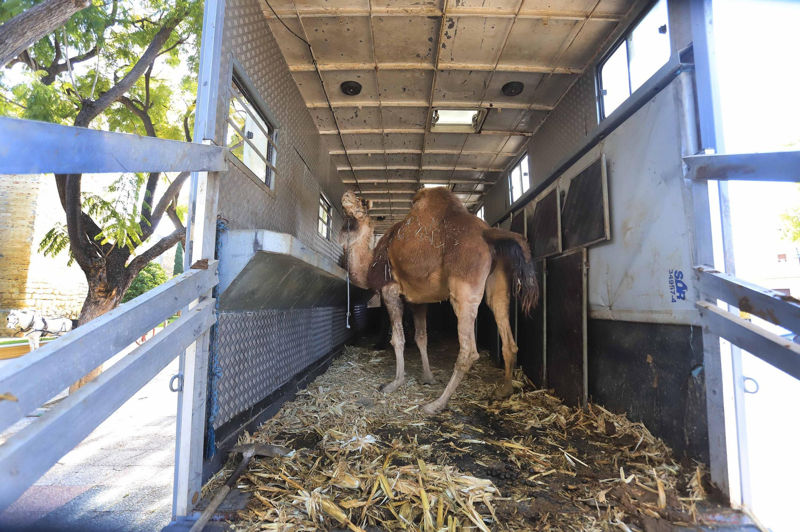 Último día de rodaje en Jerez de la serie Young Holmes