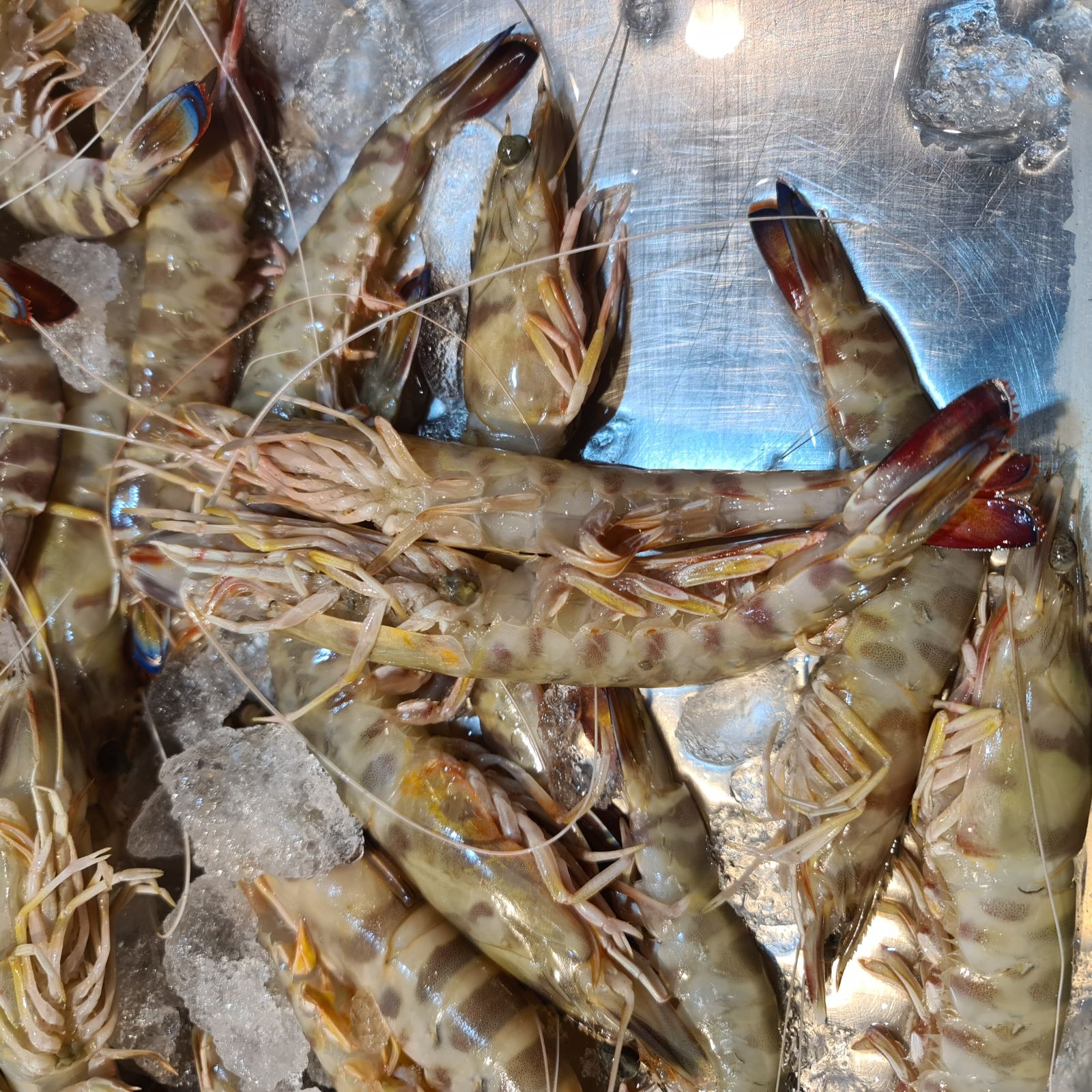 Langostinos de Sanlúcar.