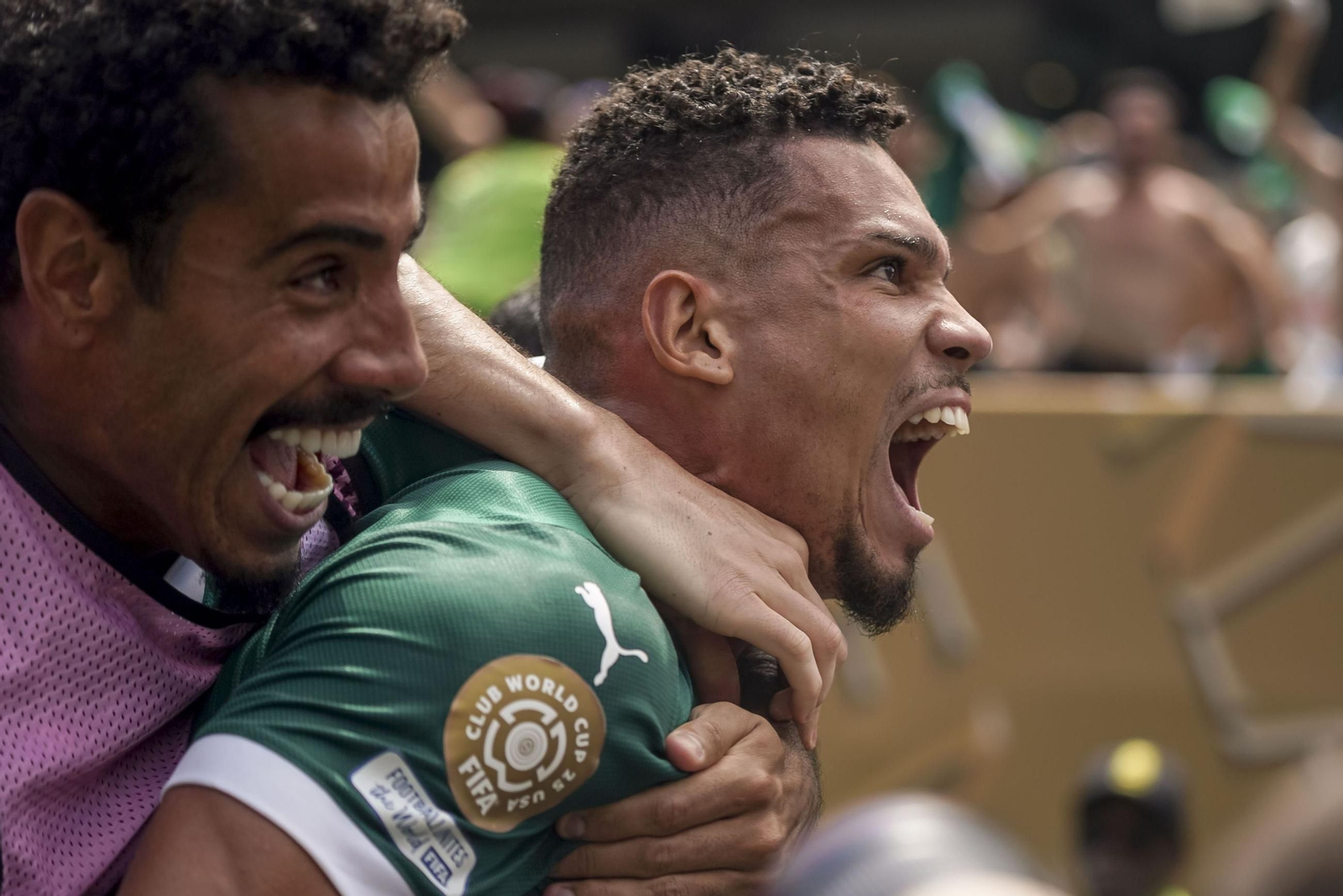 Palmeiras-Botafogo (29).jpg