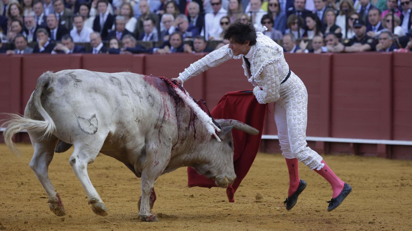 Contundente estocada de Roca Rey a su primer toro.