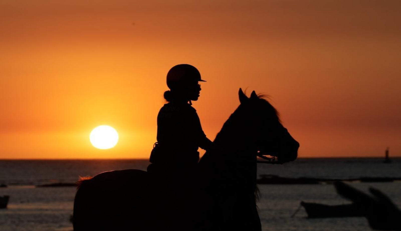 Imagen de la segunda jornada del ciclo final de las Carreras de Caballos de Sanlúcar 2025