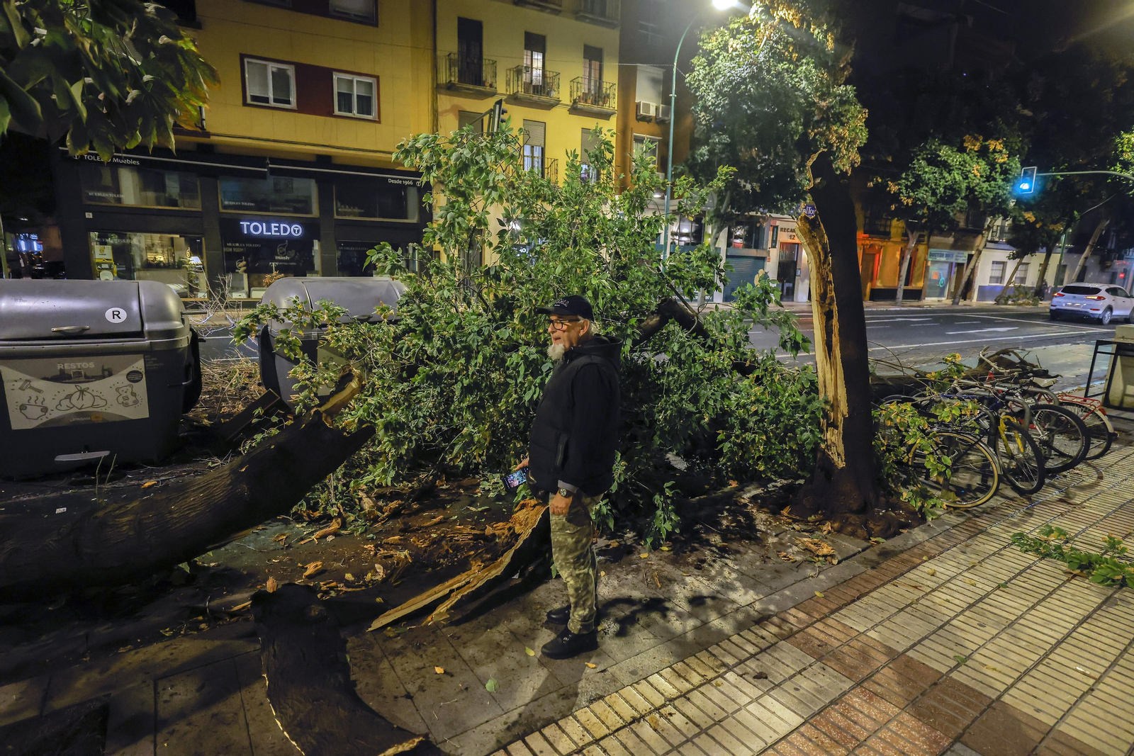 Los efectos de la borrasca 'Bernard' en Sevilla, todas las fotos