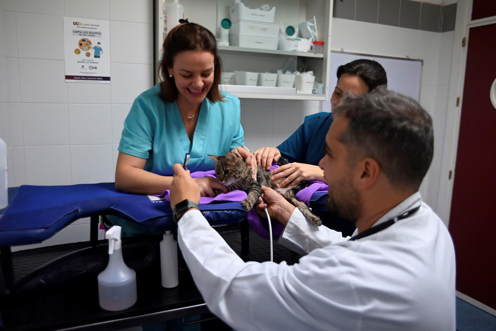 El Hospital Veterinario de la Universidad de Córdoba, en imágenes
