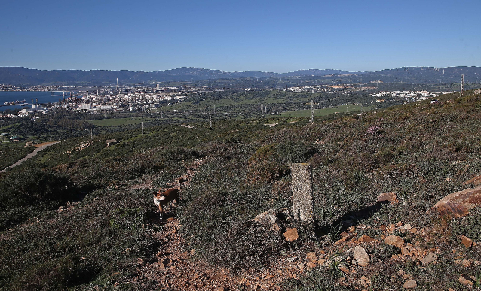 Fotos de Sierra Carbonera en La Línea
