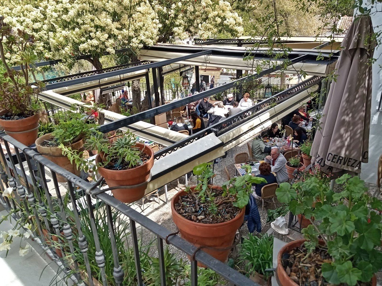 Restaurante Jardines Alberto (Granada)