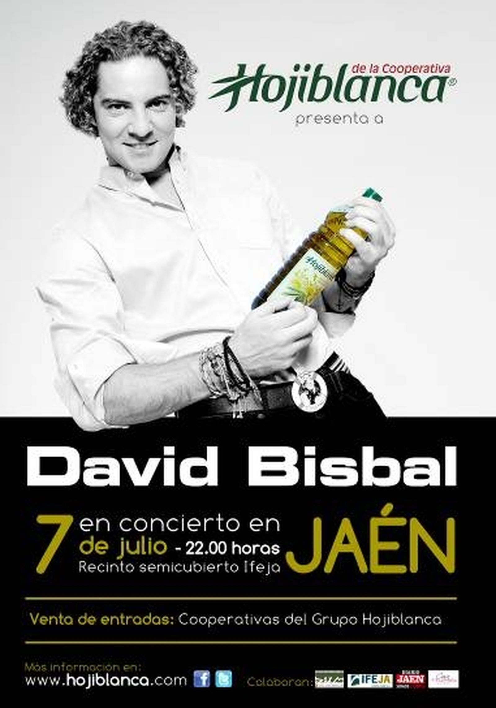 David Bisbal en concierto en Jaén