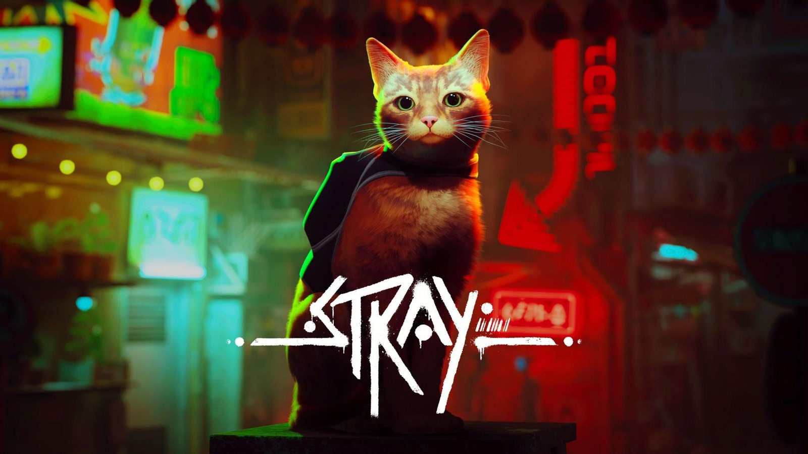 Stray es el juego estrella de noviembre. Stray es el juego estrella de noviembre.
