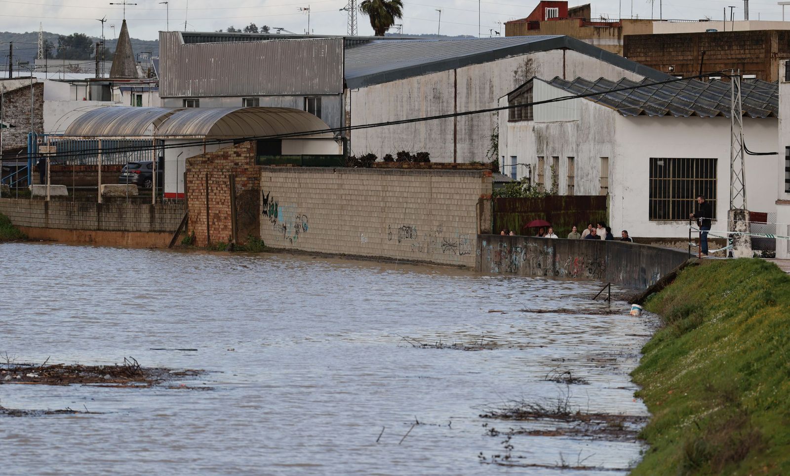 Las fotos de la crecida del río Guadalquivir en Lora del Río por la borrasca Leonardo