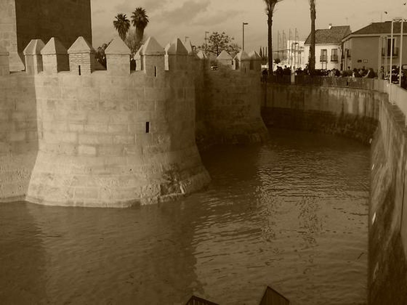 Las imágenes de las inundaciones en la provincia según los lectores del eldiadecórdoba.es. / Francisco José Cobos