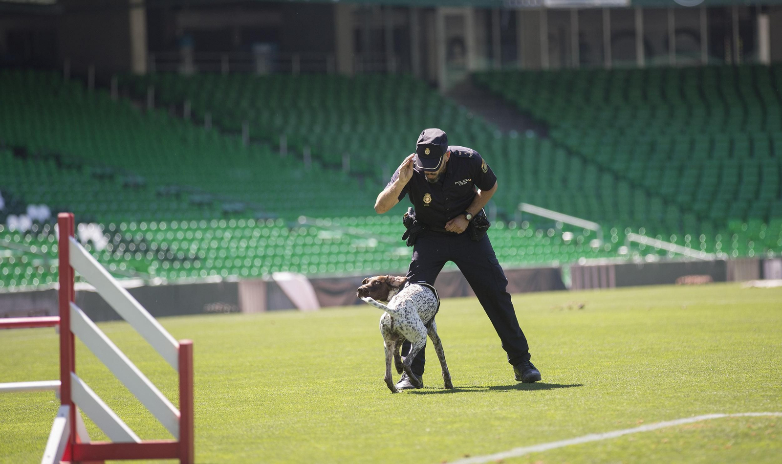 Exhibición de la Policía Nacional en el Estadio Benito Villamarín