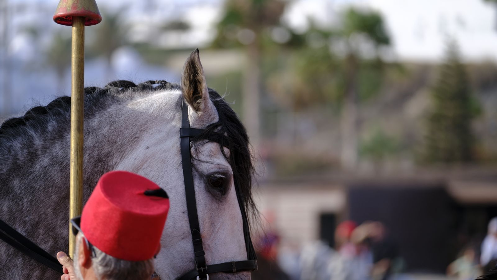Moros y Cristianos de Mojácar en la Playa del Lance, en imágenes