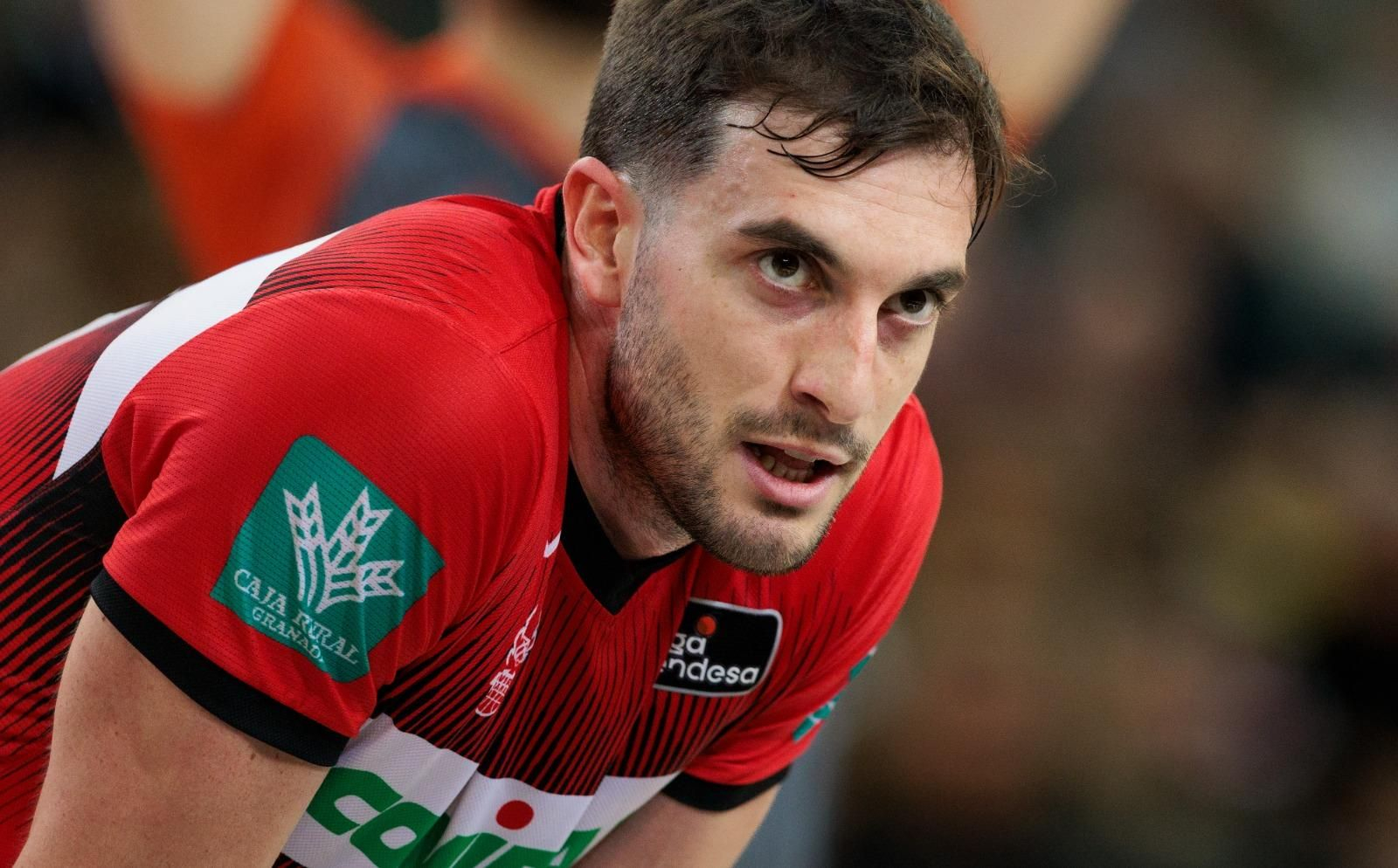 Las mejores imágenes del Bilbao Basket-Covirán Granada