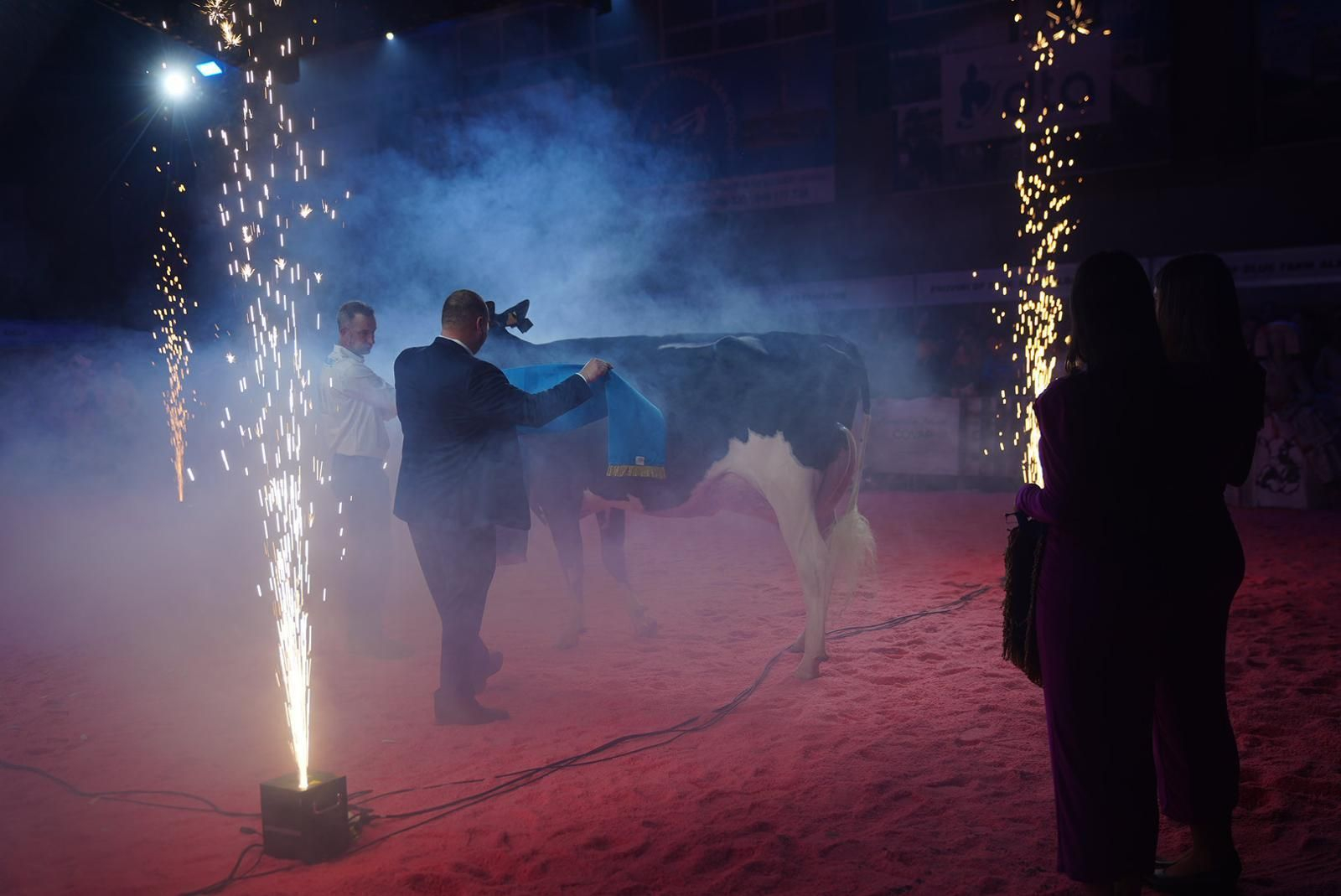 Las imágenes de la última jornada de la XVII Feria del Ganado Frisón de Dos Torres