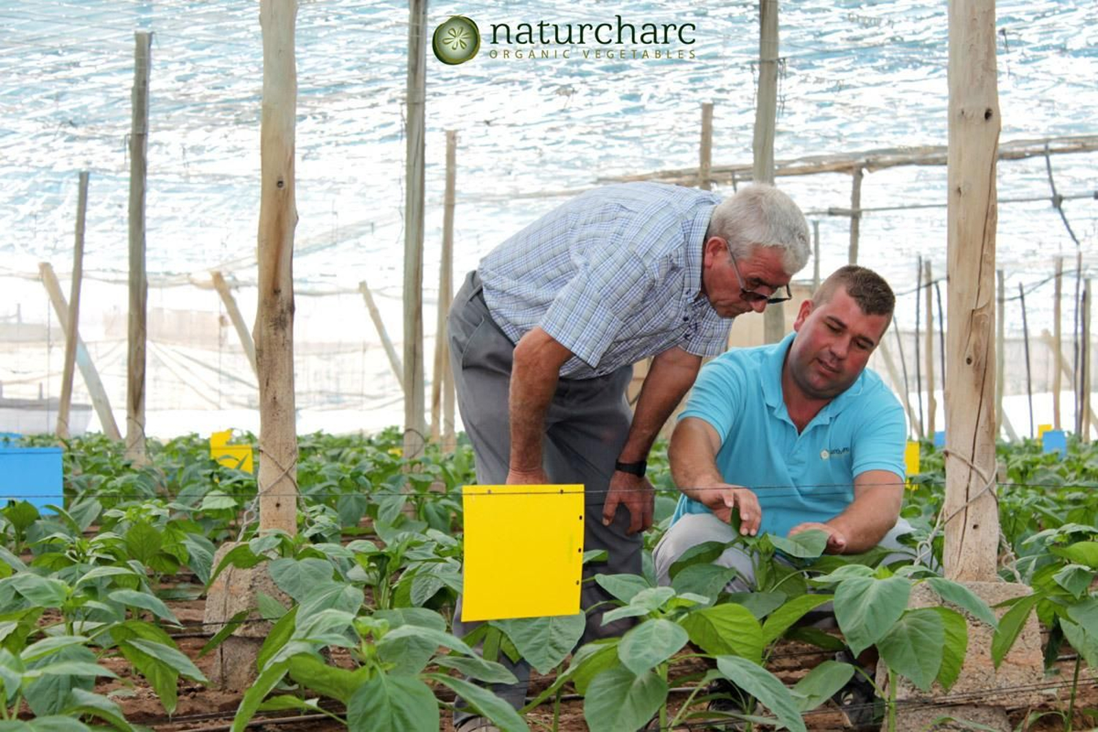 Manuel, José y Javier Giménez han logrado exportar sus frutas y verduras a buena parte del continente europeo.