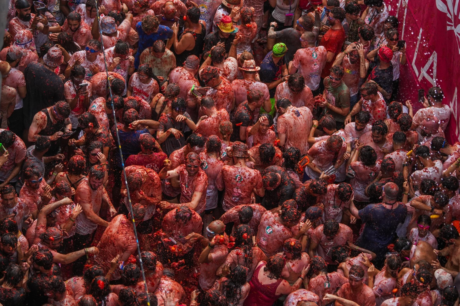 Las mejores fotos de la Tomatina de Buñuel 2025
