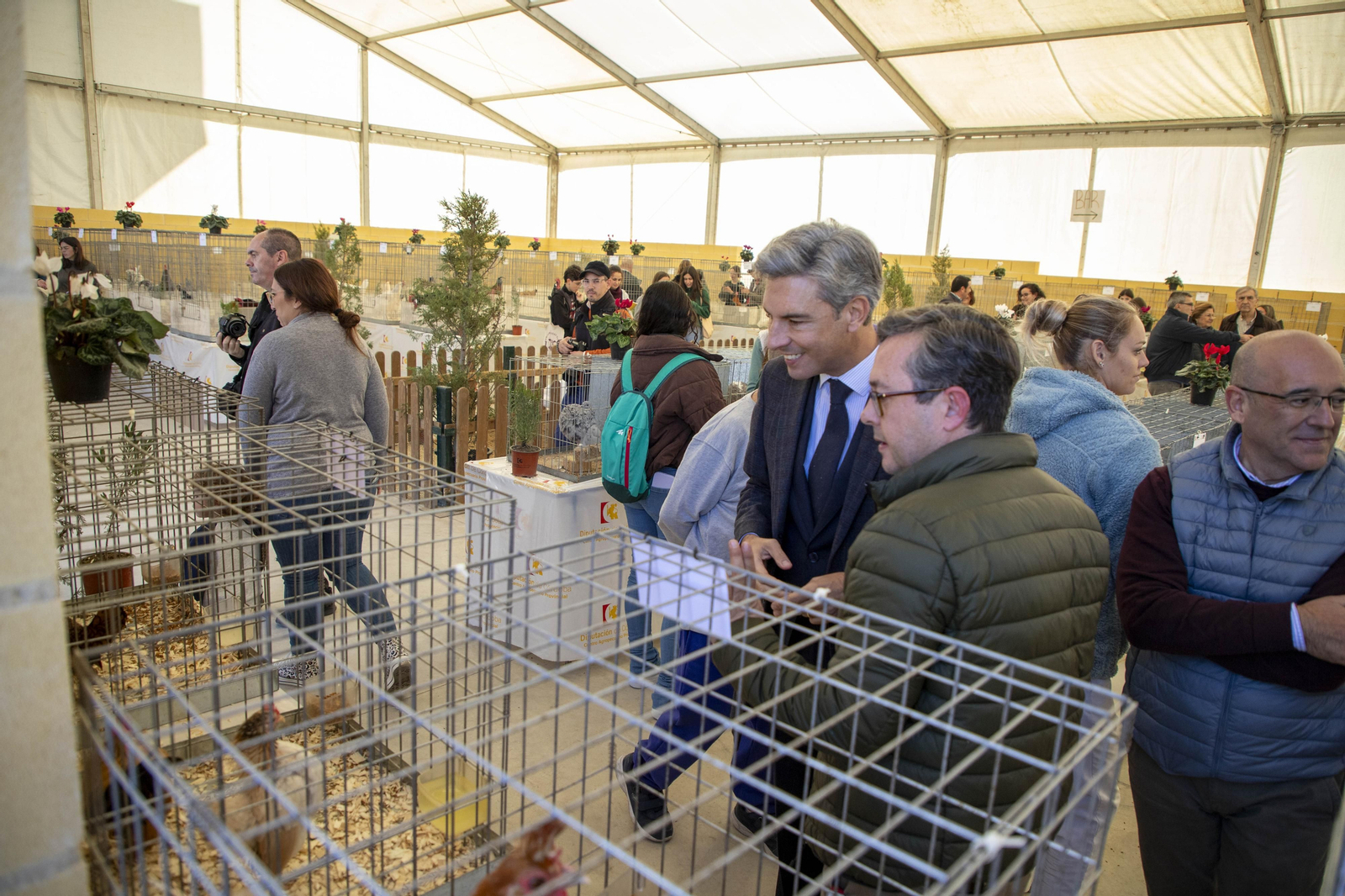 Un paseo en fotografías por Avicor, la Feria Avícola de Córdoba