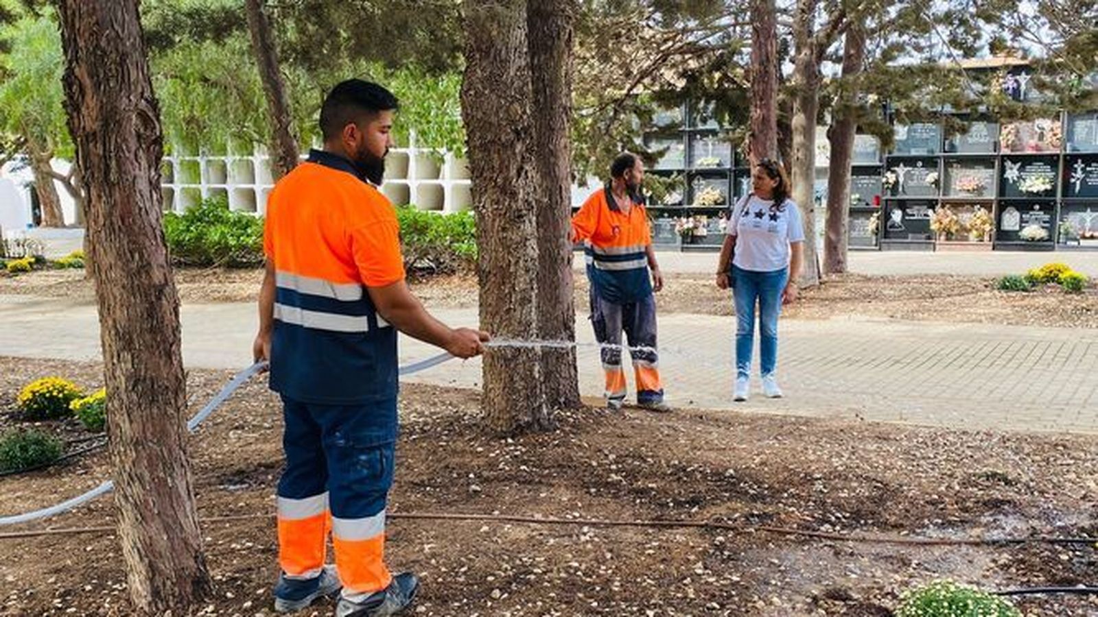 Trabajos de mantenimiento en el camposanto de Dalías.