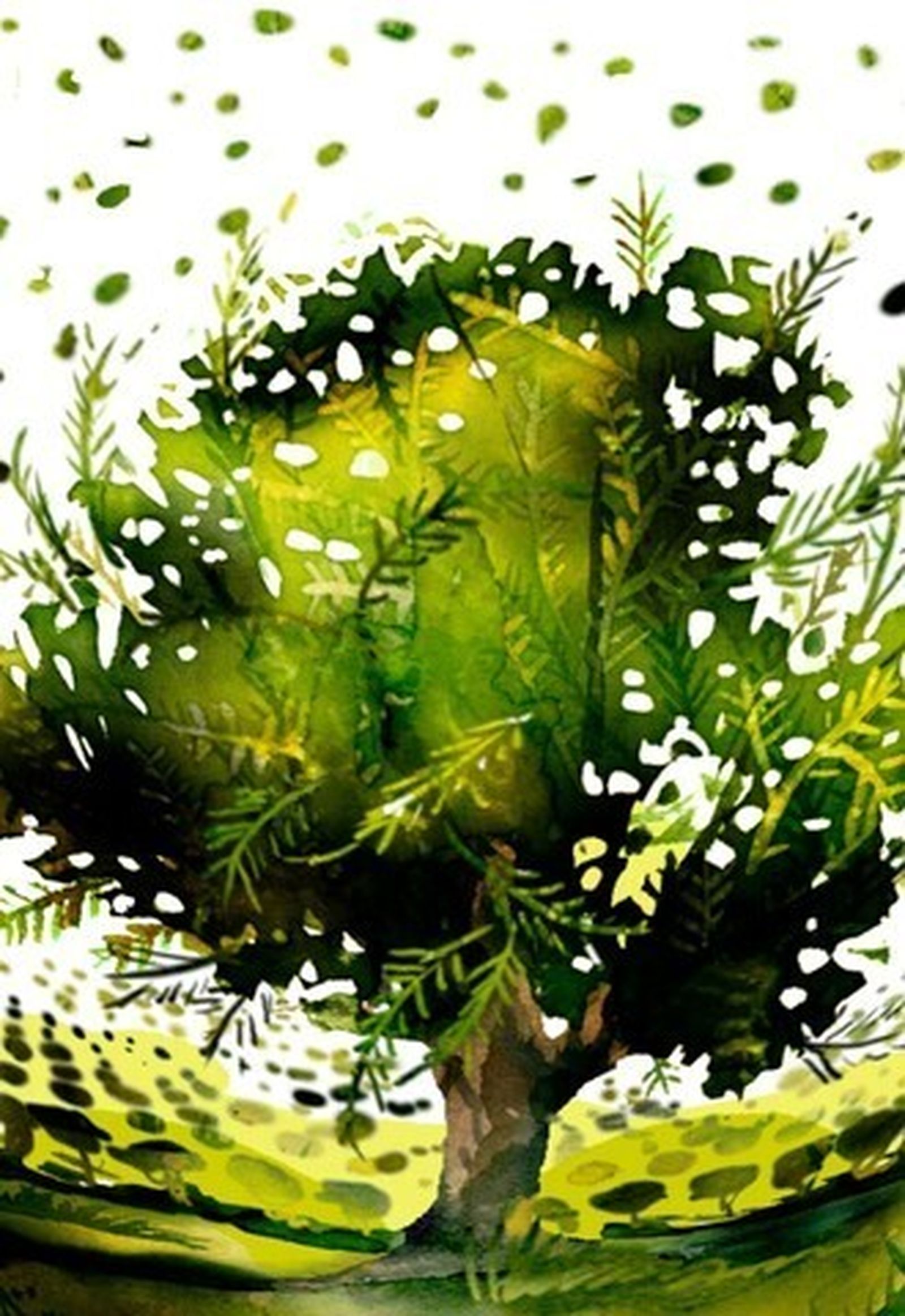 El paisaje del olivar andaluz